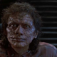 The Fly